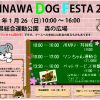 okinawa-dog-festa
